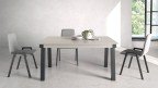 Table extensible 12 convives haut de gamme