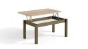 Table basse relevable haut de gamme