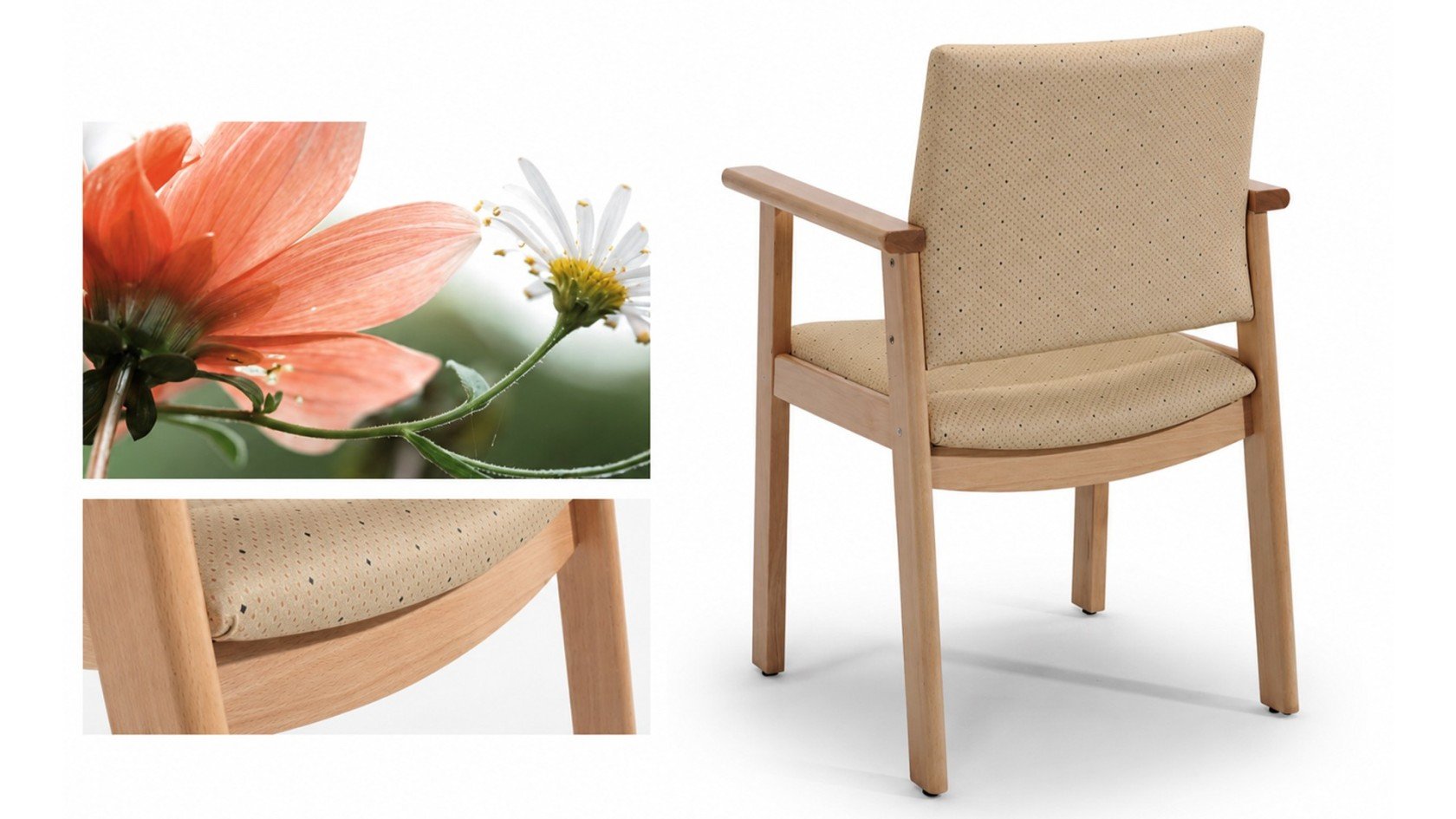 Chaise senior ESTEBAN en hêtre — confort senior ou gériatrique
